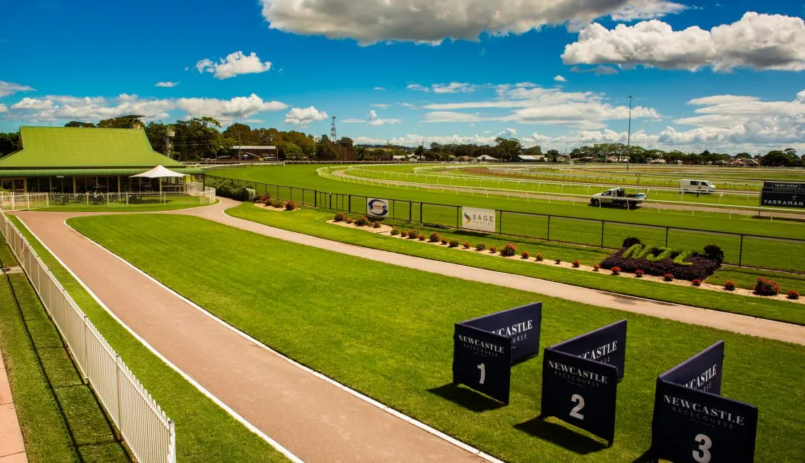Newcastle Tip Sheet & Staking Plan: Wednesday 11th August Image