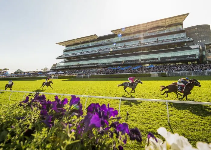 Our Black Book: Horses You Must Follow From Randwick 13/7 Image
