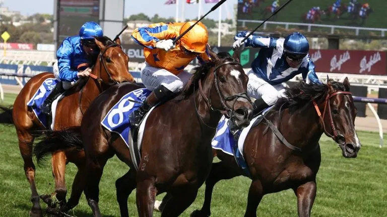 FREE: Flemington Tip Sheet & Staking Plan: Saturday 17th February Image
