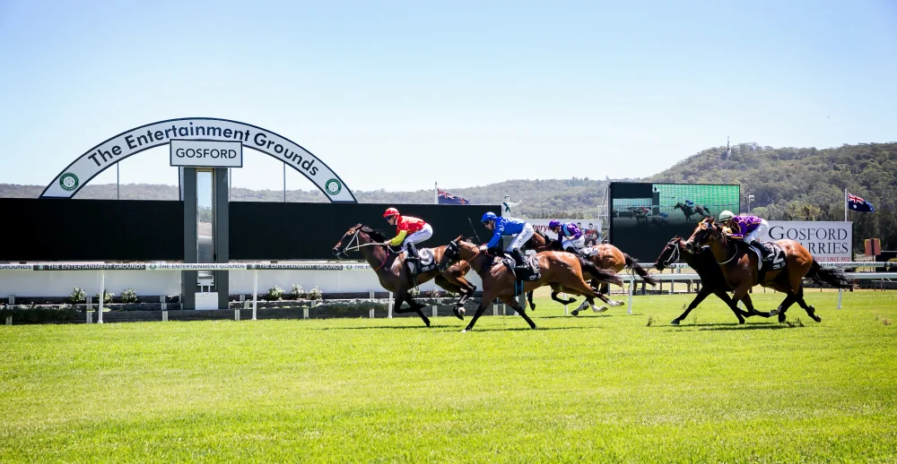 FREE: Gosford Tip Sheet & Staking Plan: Saturday 7th May Image