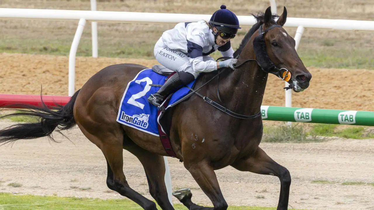 SA Premiership battle starting to heat up Image