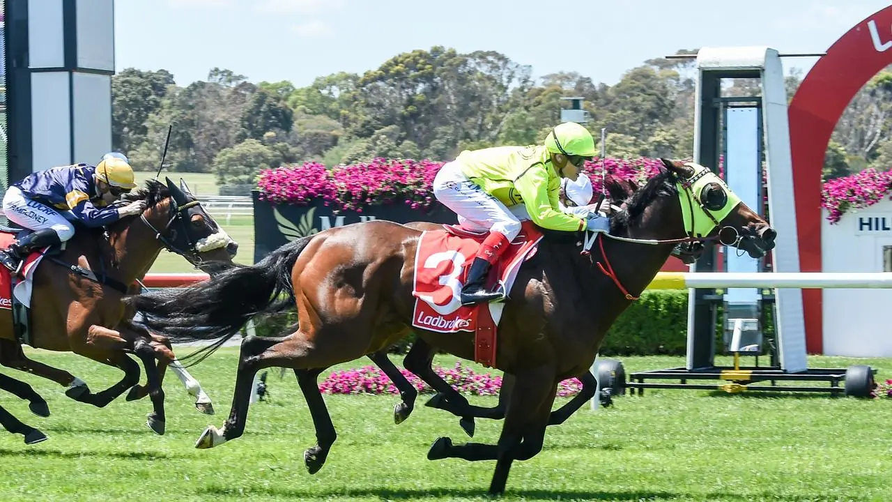 Sandown Tip Sheet & Staking Plan: Wednesday 23rd December Image