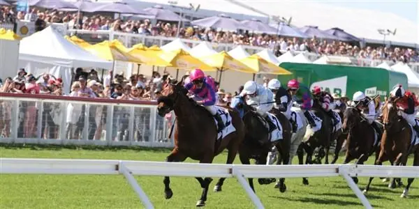 Pakenham Park Tip Sheet & Staking Plan: Saturday 5th December Image