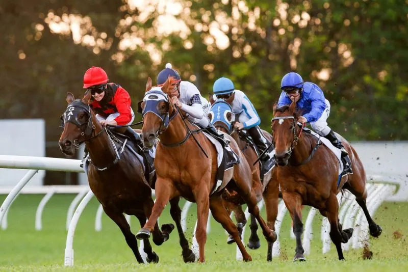 FREE: Canterbury Tip Sheet & Staking Plan: Wednesday 21st September Image