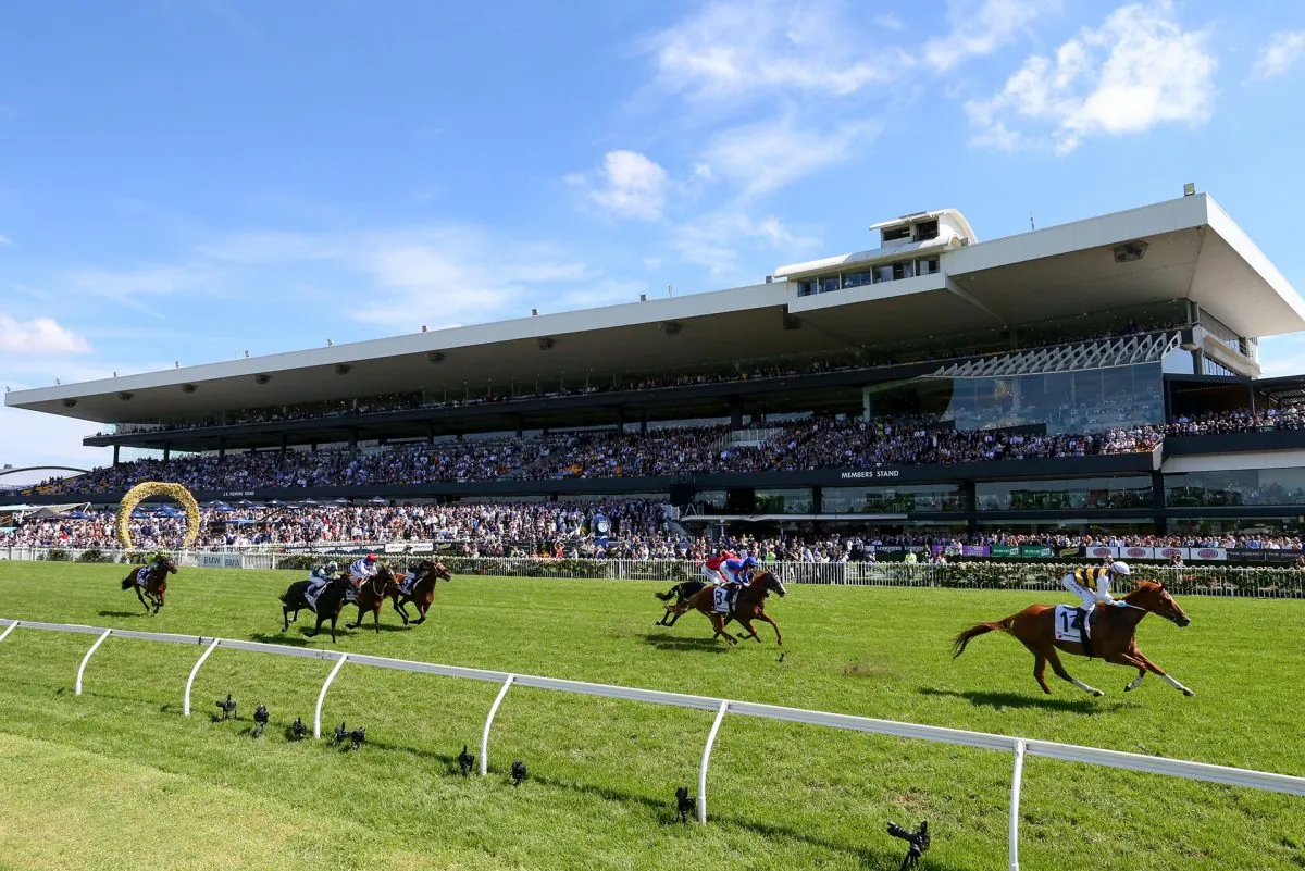 Rosehill Tip Sheet & Staking Plan: Saturday 15th January Image