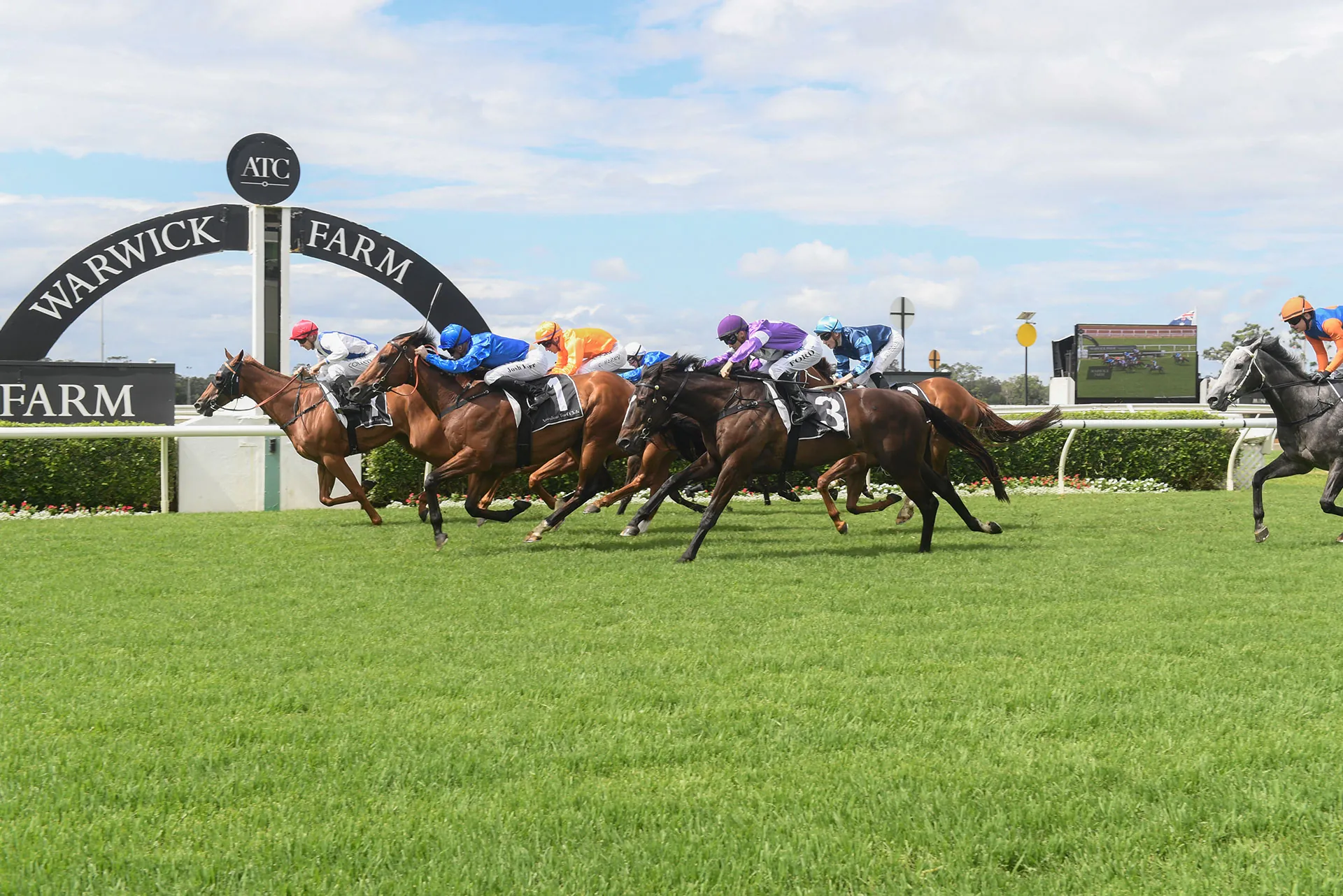 Warwick Farm Tip Sheet & Staking Plan: Wednesday 1st December Image