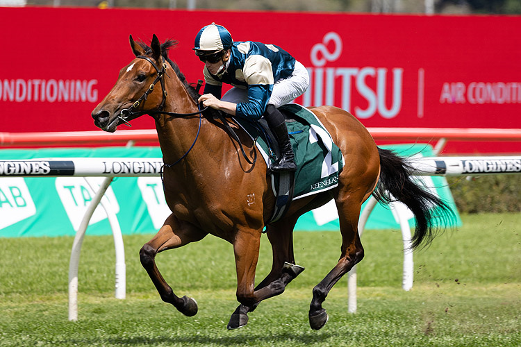 Coolangatta to miss tomorrow’s meeting at Royal Randwick Image