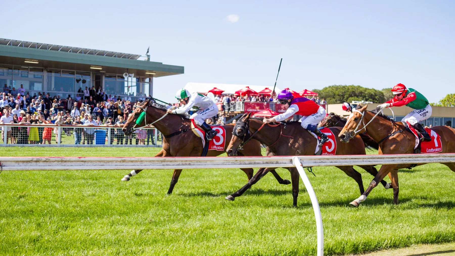 FREE: Sale Tip Sheet & Staking Plan: Wednesday 24th May Image