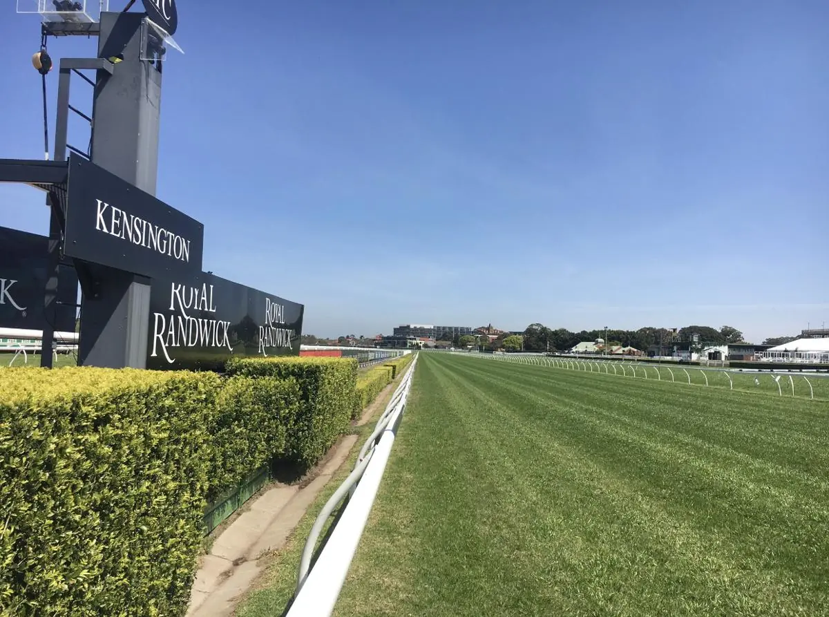 Randwick Kensington Tip Sheet & Staking Plan: Wednesday 1st September Image