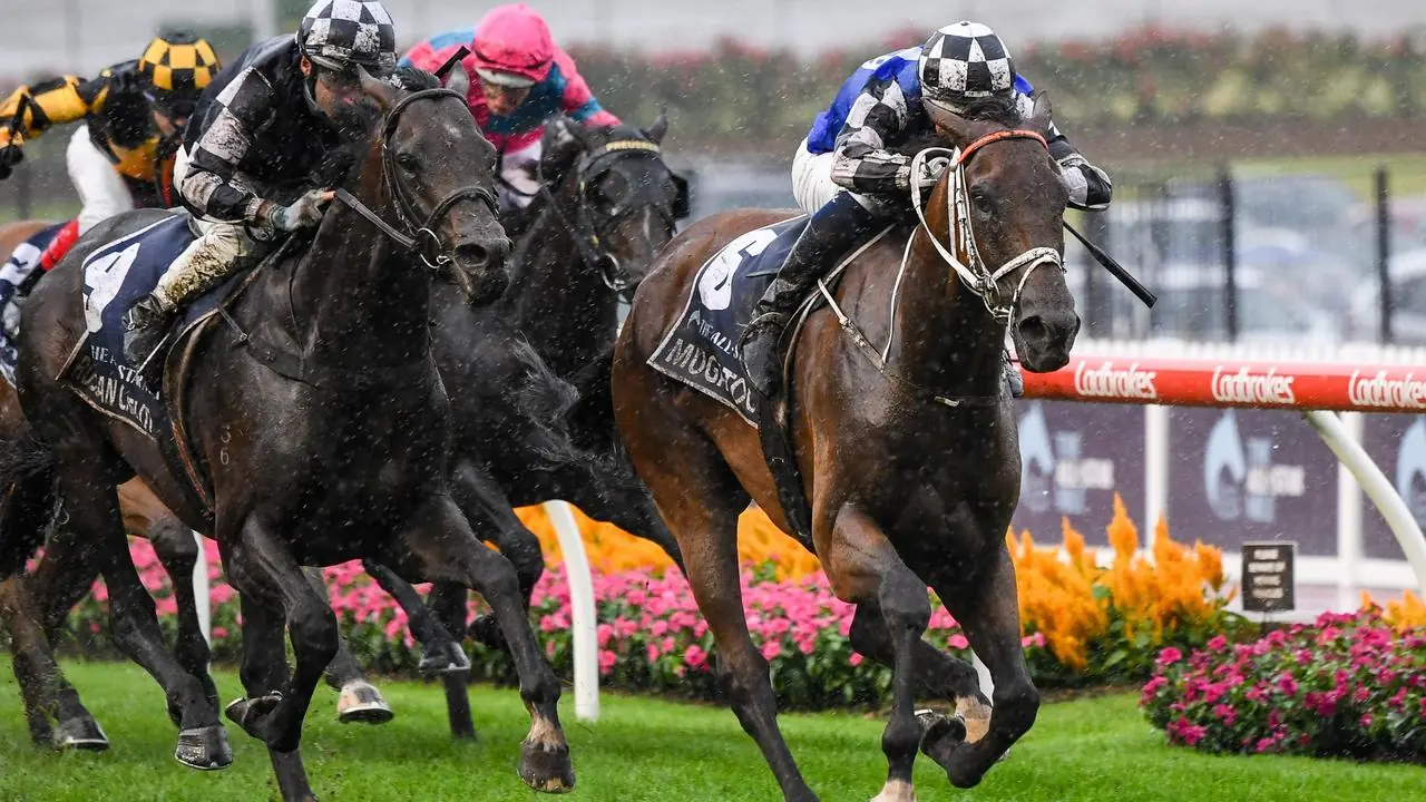 Moonee Valley Tip Sheet & Staking Plan : Saturday 4th September Image
