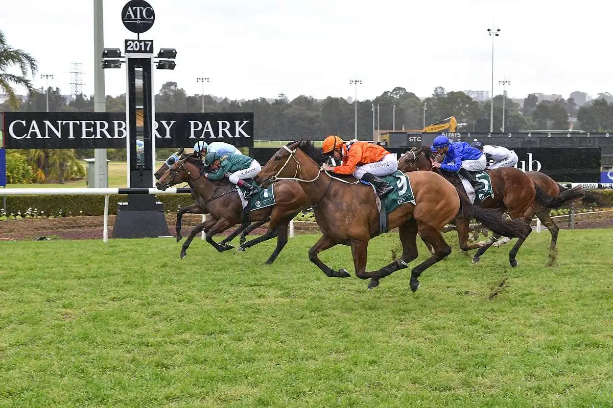 Canterbury Tip Sheet & Staking Plan – Wednesday 23rd September Image