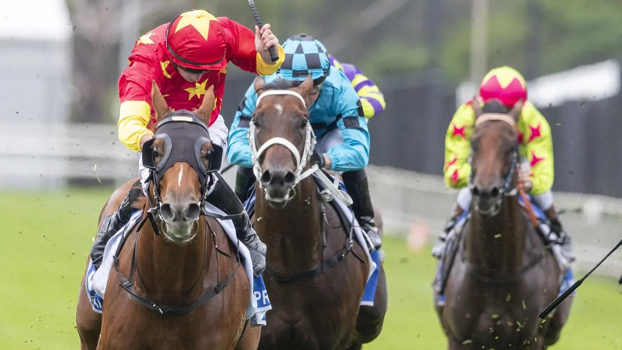 Randwick Tip Sheet & Staking Plan: Saturday 24th October Image