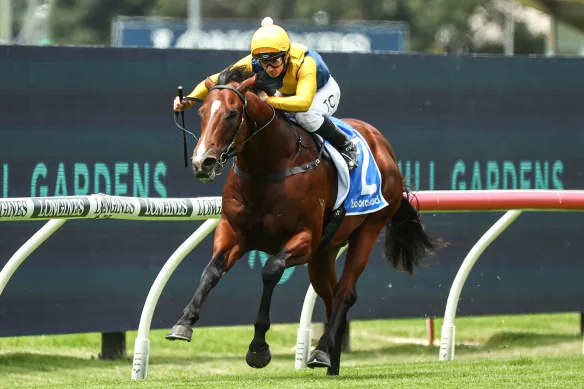 FREE: Rosehill Selections: Saturday 28th September Image