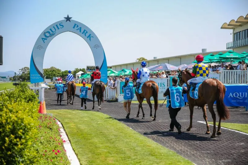 FREE: Gold Coast Tip Sheet and Staking Plan Saturday 18/9 – QLD Service Image