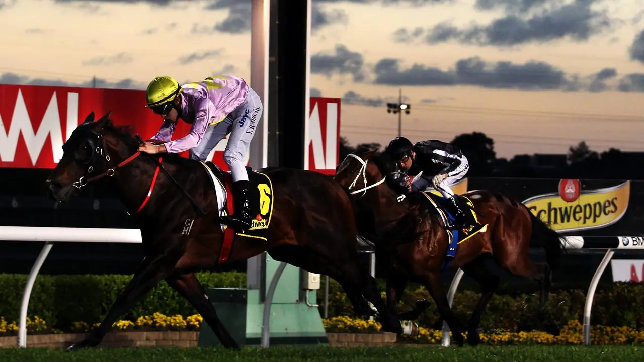 Canterbury Tip Sheet & Staking Plan: Friday 1st January Image
