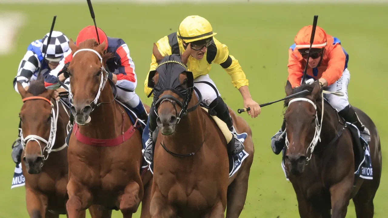 Rosehill Tip Sheet & Staking Plan: Saturday 5th June Image