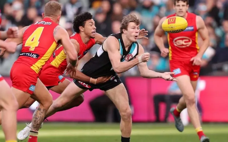 AFL Round 17: Our Insights & Selections Image