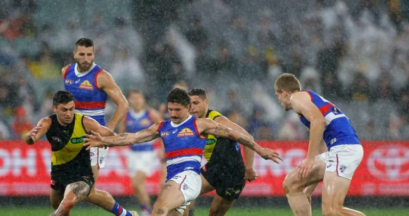 AFL Round 21: Our Insights & Selections Image