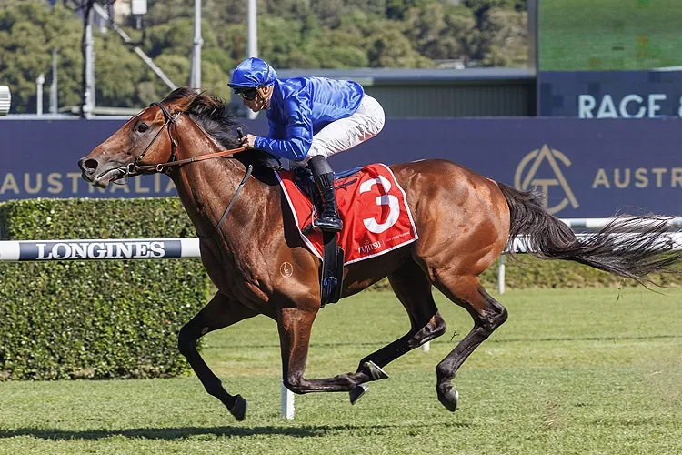Rosehill Preview: Aft Sailing In The Right Direction Image