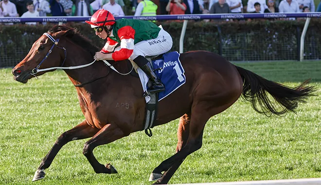 IT’S BLINKERS TIME FOR PERTH STAR Image
