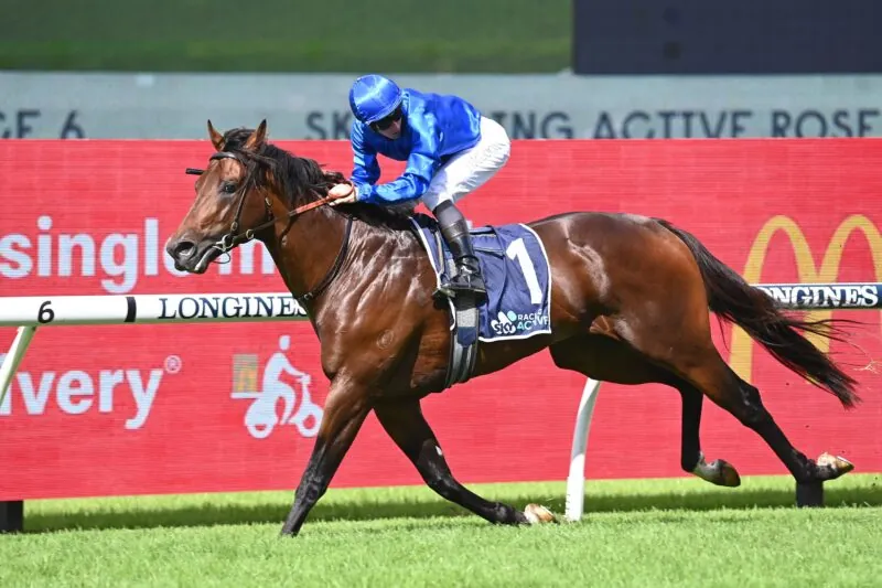 Randwick Preview: Cummings Predicts A Better Anamoe Image