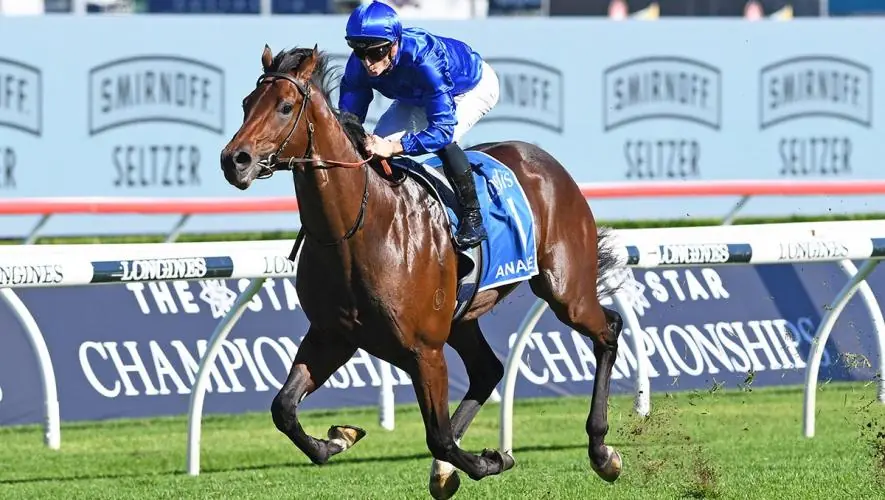 Randwick Preview: Anamoe Ready For George Main Stakes Image