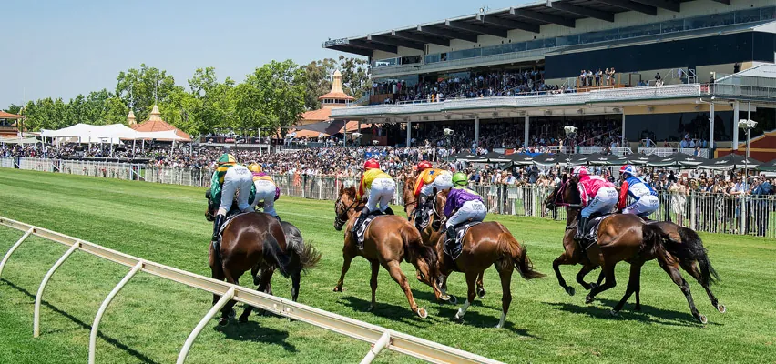 Horses You Must Follow From Ascot 12th December Image
