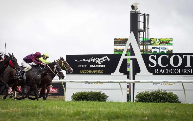 FREE: Belmont Selections Thursday 1st February Image