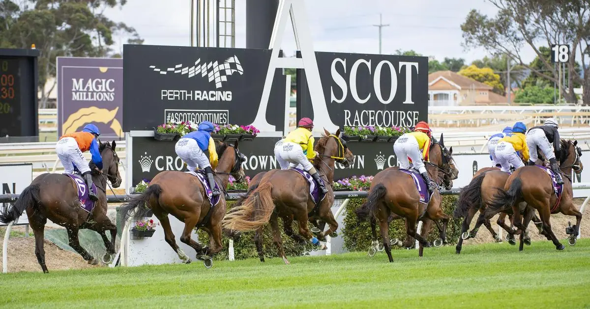 Ascot Selections & Staking Plan: Wednesday 22nd December Image