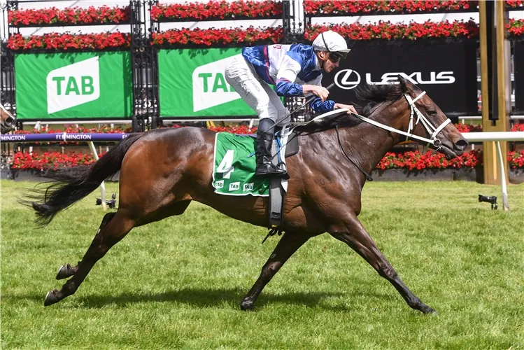 Ballarat Preview: Waller’s Strong Ballarat Cup Bid Image