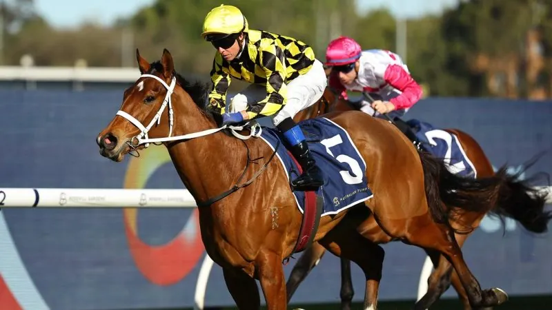 2024 Up And Coming Stakes Review: What The Jockeys Said Image
