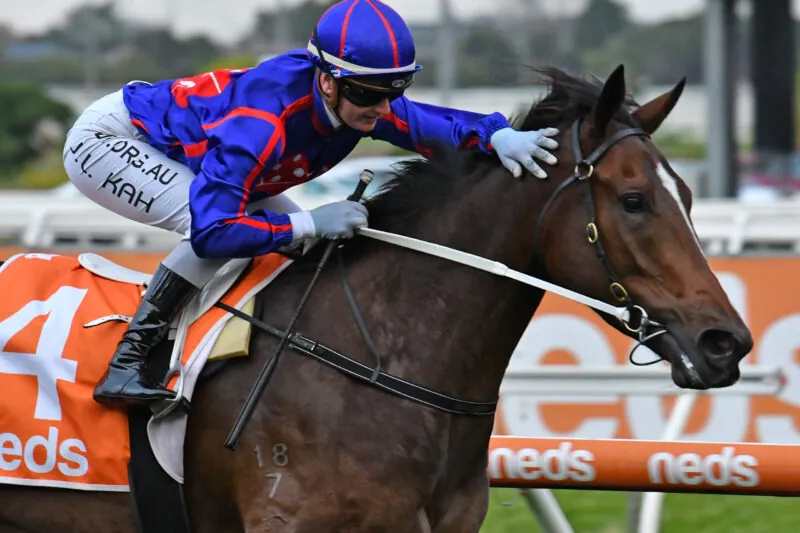 Caulfield Preview: Price Concerned By Prospect Of Rain Image