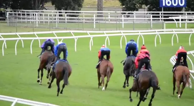 Trial Review: Horses You Must Follow From The Trials Over The Past Week 10/9 Image