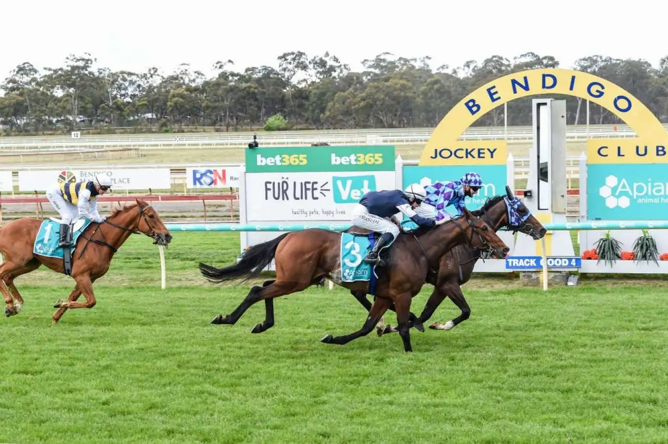 FREE: Bendigo Tip Sheet & Staking Plan: Wednesday 30th October Image