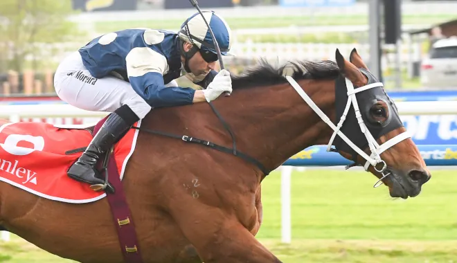 TURNBULL PIVOTAL TO WALLER STARS Image