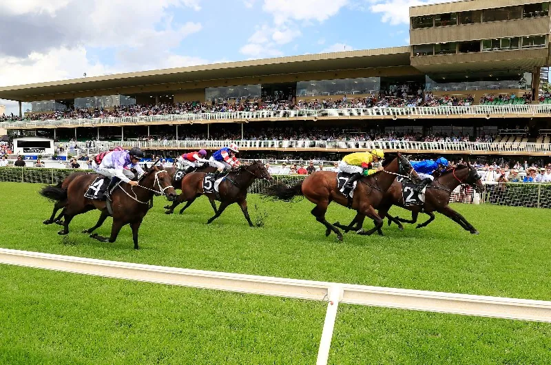 Our BlackBook & Trial Runners: Horses Running Today & Staking Plan 12/8 Image