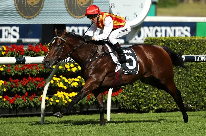 Rosehill Tip Sheet & Staking Plan: Saturday 29th August Image