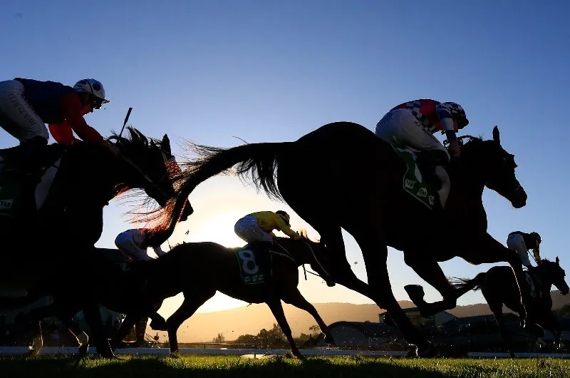 FREE: Hawkesbury Selections & Staking Plan: Tuesday 24th of May Image