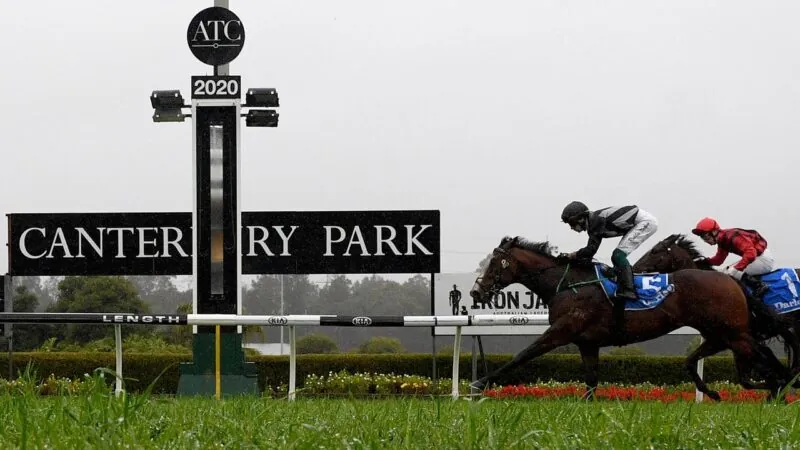 FREE: Canterbury Tip Sheet & Staking Plan: Wednesday 21st June Image