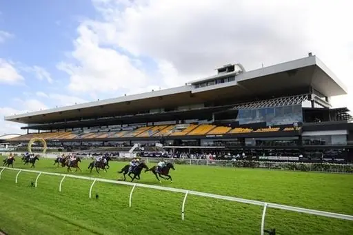 FREE: Rosehill Tip Sheet & Staking Plan: Saturday 15th June Image