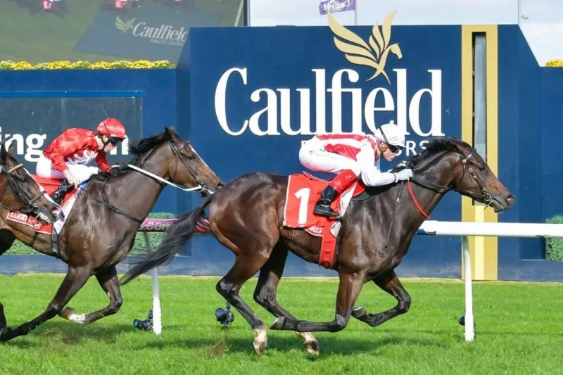 FREE: Caulfield Tip Sheet & Staking Plan: Saturday 19th August Image