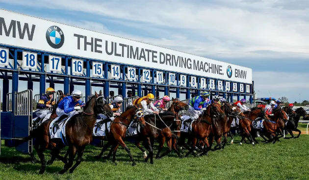 Our Black Book: Horses You Must Follow From Caulfield 17/8 Image