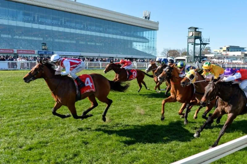 Caulfield Tip Sheet & Staking Plan: Wednesday 14th October Image
