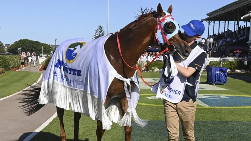 Punters Championships Competition Image