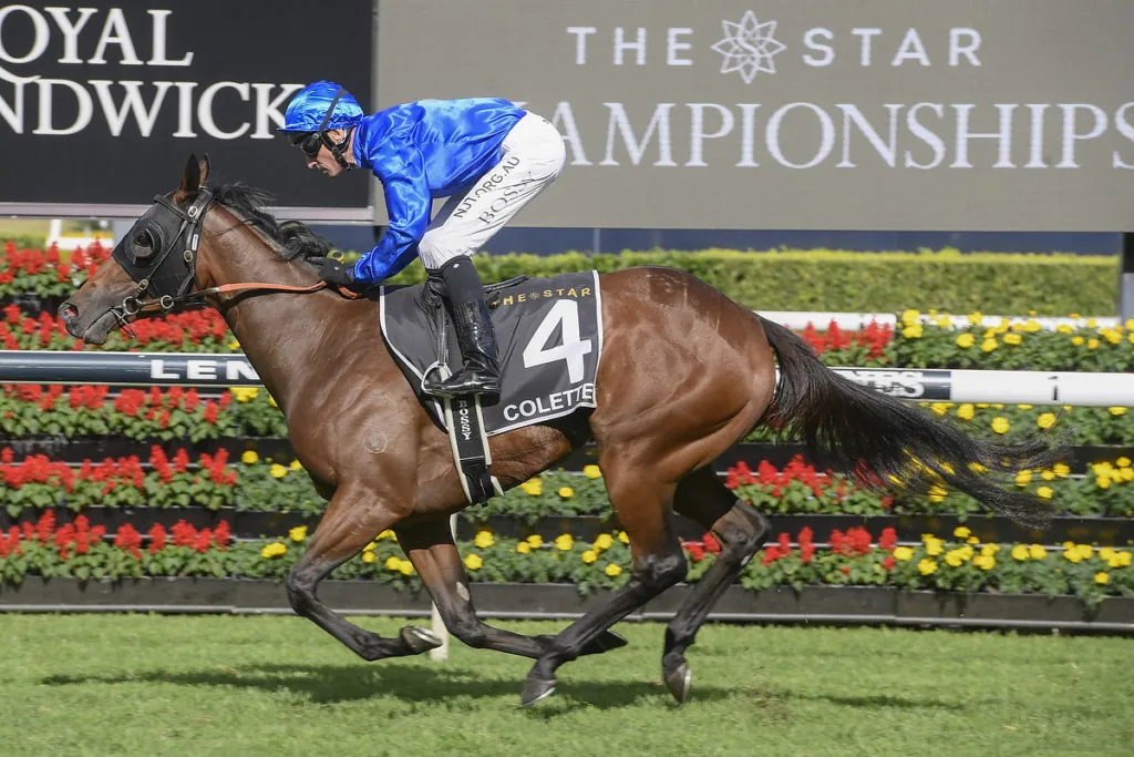 Randwick Tip Sheet & Staking Plan: Saturday 12th February Image