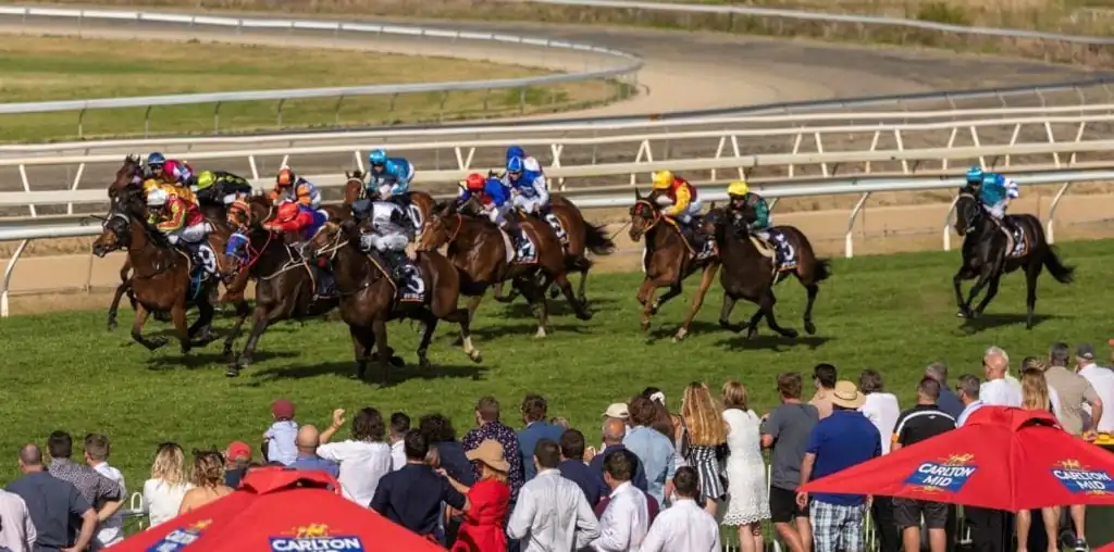 Wyong Tip Sheet & Staking Plan: Wednesday 18th November Image