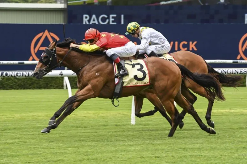 Randwick Review: Don Corleone Emerges As A Golden Slipper Threat Image
