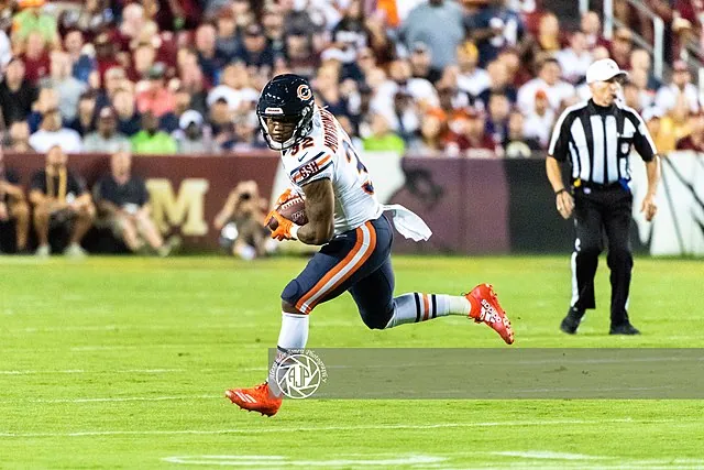 NFL Fantasy Preview: Chicago Bears Image