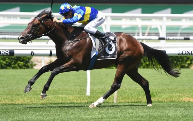 Our BlackBook & Trial Runners: Horses Running Today & Staking Plan 21/11 Image