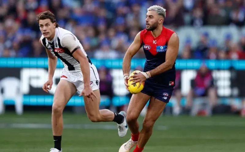 AFL: The Demons Hand Out A Timely Reminder Image
